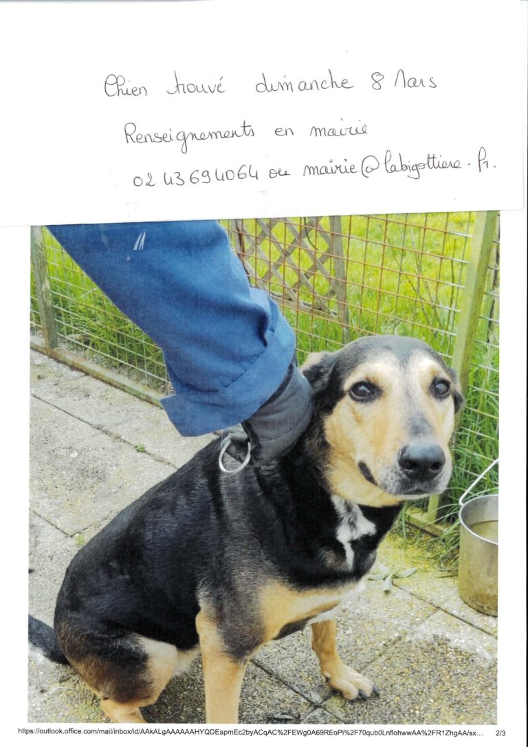 SCAN_20260312_065939_0001